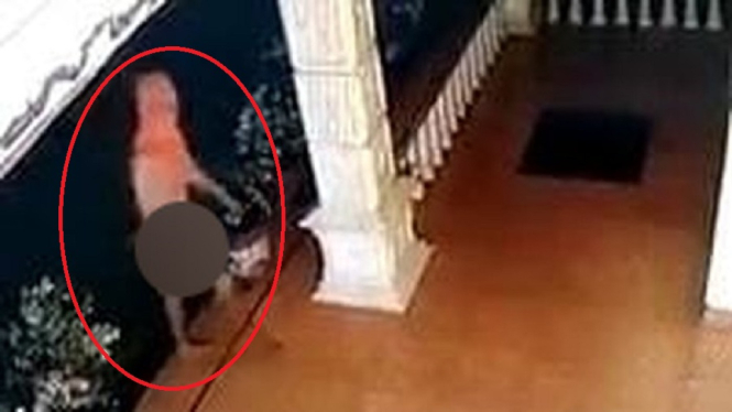 Geger Kolor Ijo Bergentayangan di Langkat, Sumatera Utara, Ini Kata Polisi (Foto Tangkap Layar Video CCTV)