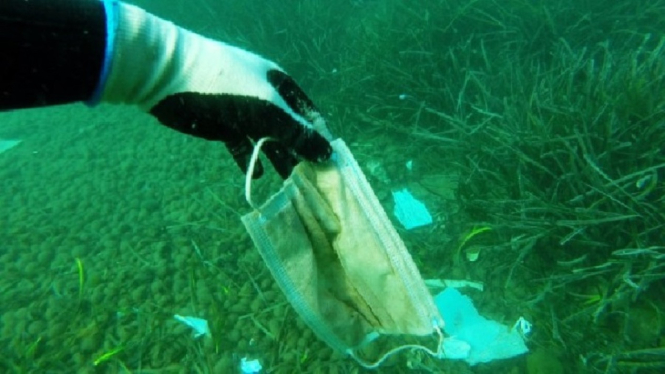 Di Filipina, Masker Jadi Polusi Laut di Lokasi Menyelam yang Sangat Populer (Foto Dok. minews.id)