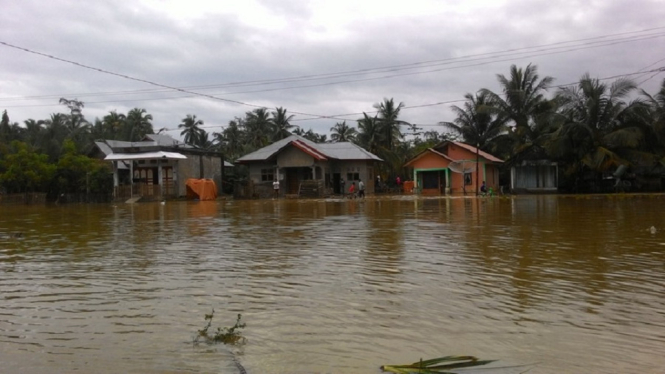 Ribuan Warga dari 16 Desa di Aceh Selatan Terendam Banjir (Foto Istimewa)