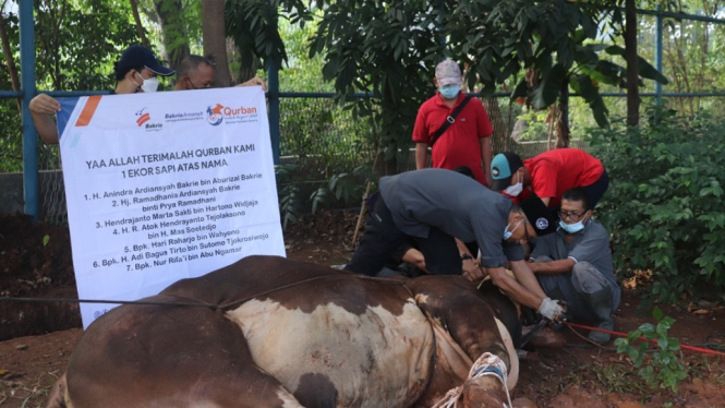 Bakrie Amanah Tebar Hewan Kurban di 12 Provinsi Indonesia