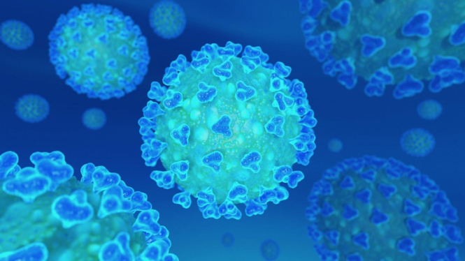 Ilmuwan Buat Atlas Antibodi Vaksin terhadap Virus Corona, Gunanya untuk Apa?