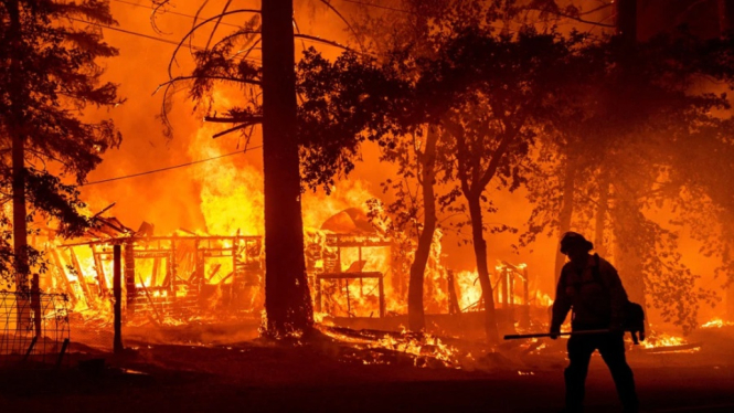 kebakaran hutan california