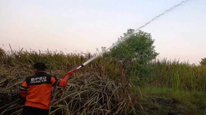 Satgas Karhutla Sukses Padamkan 7 Hektar Lahan Terbakar di Ogan Ilir Sumsel