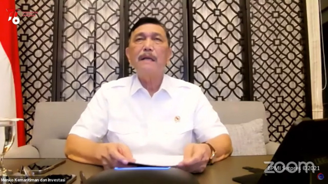 Luhut B Pandjaitan Ungkap Ada Empat Wilayah Miliki Kasus Kematian Covid-19 Tinggi (Foto Tangkap Layar Youtube)