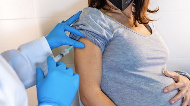 Inilah Tips untuk Ibu Hamil yang Ingin Ikut Program Vaksinasi Covid-19 (Foto Ilustrasi)