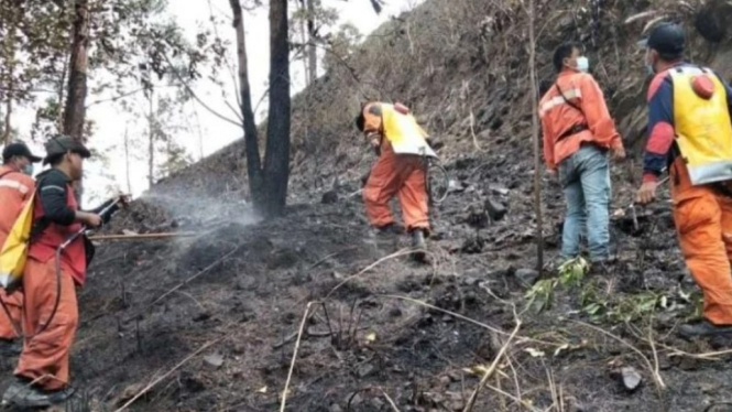 Tim Manggala Agni Sukses Memadamkan Kebakaran Hutan di Perbukitan Danau Toba