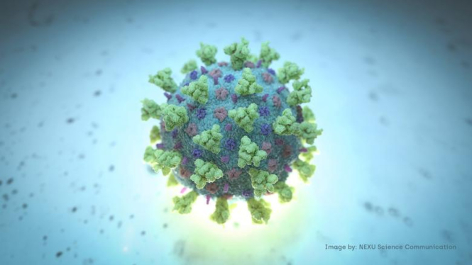 Mengenal Virus Corona Varian Mu Asal Kolombia