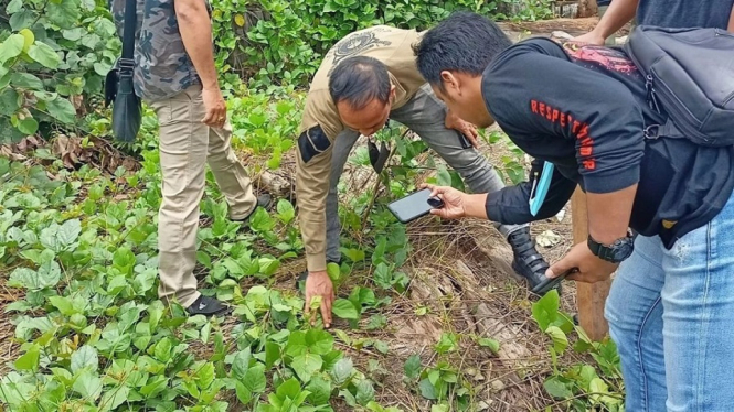 Ada Jejak Kaki Diduga Harimau Pemangsa Manusia di Lokasi Penemuan Mayat (Foto BKSDA Riau))