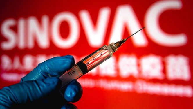 Brasil Tangguhkan 12 Juta Dosis Vaksin Sinovac yang Disinyalir Produk Pabrik Ilegal (Foto lustrasi Vaksin Sinovac-Shutterstock)