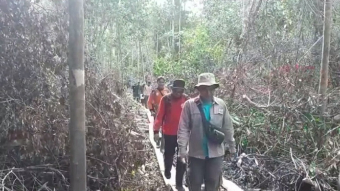 Penggerebekan Illegal Logging Bocor, Pelaku Kabur ke Dalam Hutan