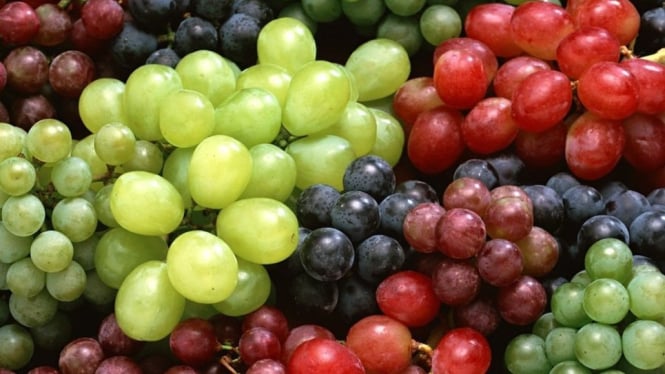 Kaya Antioksidan, Ini Manfaat Anggur yang Perlu Anda Ketahui