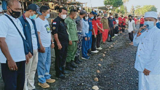Ratusan Ekor Tukik di Buleleng Bali Dilepasliarkan Lanal Denpasar (Foto Humas Pangkalan TNI Angkatan Laut (Lanal) Denpasar)