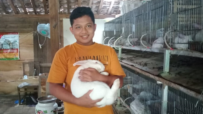 Inspiratif, Anak SMP Ini Hasilkan Jutaan Rupiah dari Ternak Kelinci (Foto antvklik-Lucas)