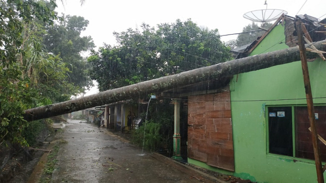 Ratusan Rumah Porak Poranda Diterjang Hujan Deras Disertai Puting Beliung (Foto: antvklik-Aditya)