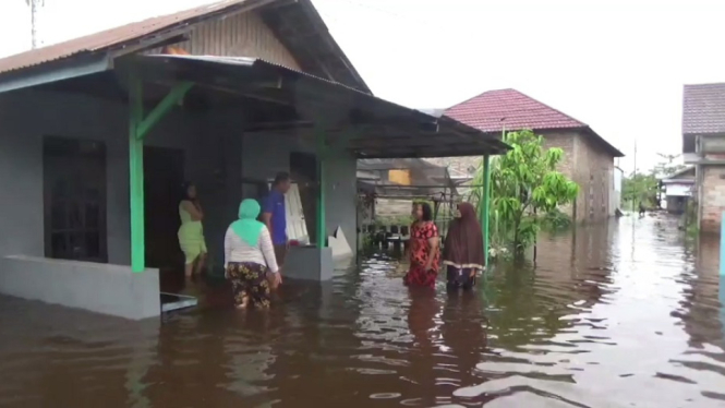 Rumah warga yang terendam banjir di Kota Ketapang (antv / Didi Syahwani)