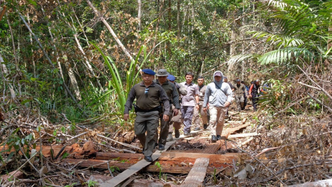 Kapolda Riau pimpin penggerebekan illegal logging (antv /Muhammad Arifin)