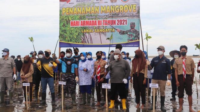 Peringati Hari Menanam Pohon Indonesia, Bakrie Amanah Tanam 7.000 Pohon (Foto Istimewa)