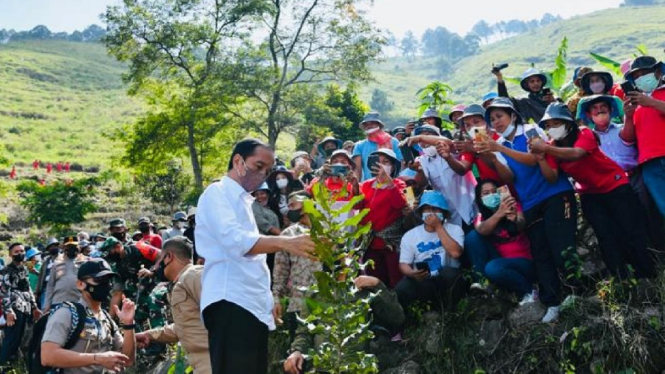 Jokowi Tanam Pohon