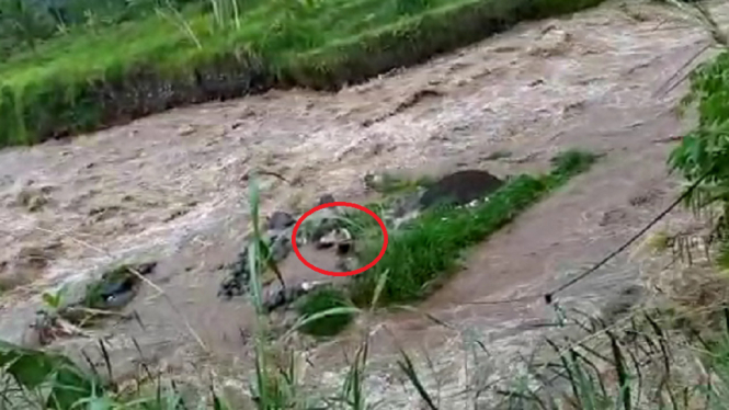 Penambang Pasir Terjebak Banjir di Sungai Serayu Wonosobo