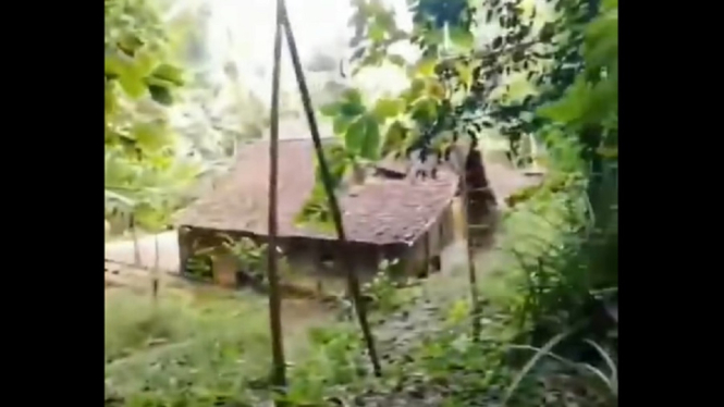 Pemilik Lokasi Syuting Film KKN di Desa Penari Berniat Menjualnya, Ini Sebabnya (Foto Tangkap Layar)