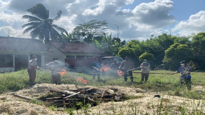 Balai Karantina Lampung Musnahkan 720Kg Daging Celeng Ilegal Asal Bengkulu