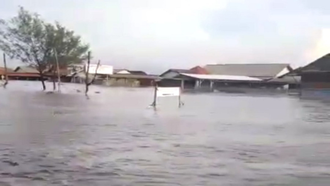 Tambak Terendam Banjir Rob, Petani Alami Kerugian hingga Rp 8,34 Milyar (Foto antvklik-Otong)