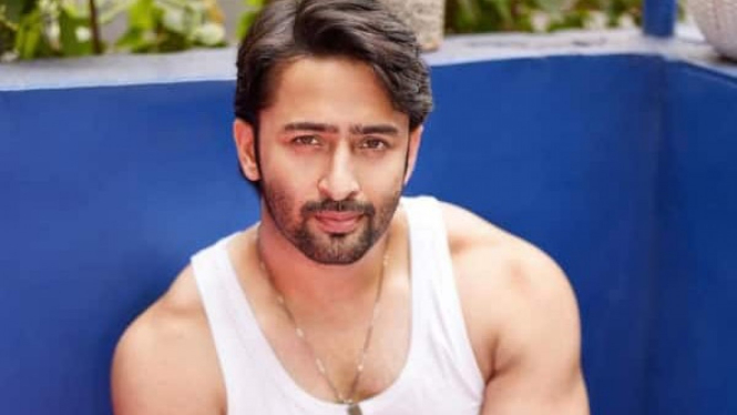 Shaheer Sheikh