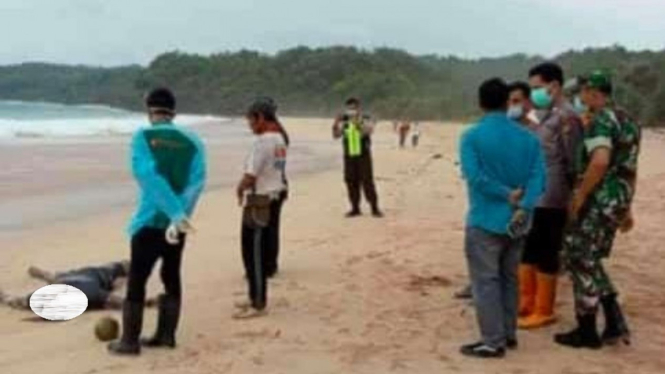 Heboh Mayat Tanpa Identitas Ditemukan di Bibir Pantai