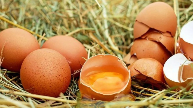 Manfaat cangkang telur