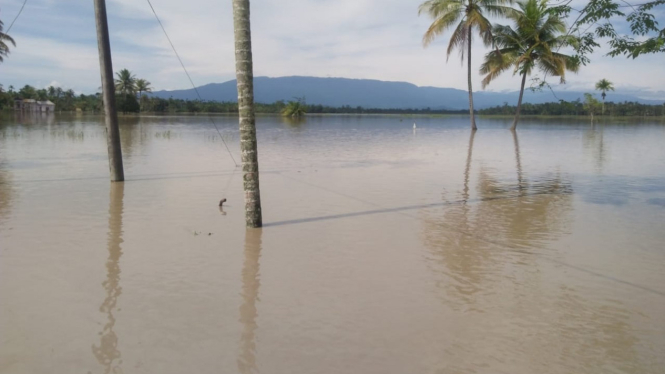 Banjir rendam persawahan di Aceh Utara.