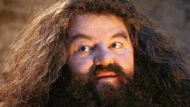 Robbie Coltrane, pemeran Rubeus Hagrid di Harry Potter.