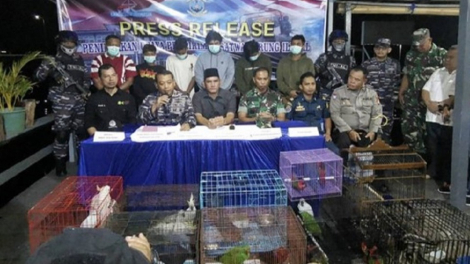 Pangkalan TNI AL Banjarmasin Gagalkan Penyelundupan Burung Langka