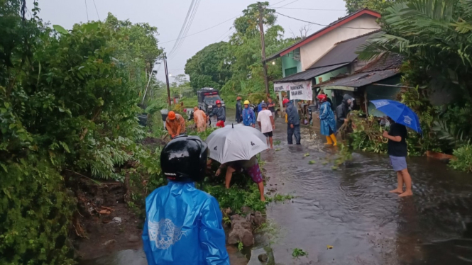Hujan Deras, Sleman Dilanda Banjir Longsor dan Pohon Tumbang