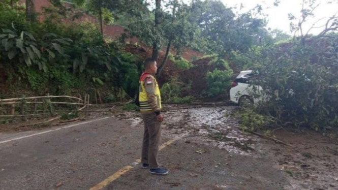 Pohon tumbang di jalan Nasional Cianjur, Jawa Barat.
