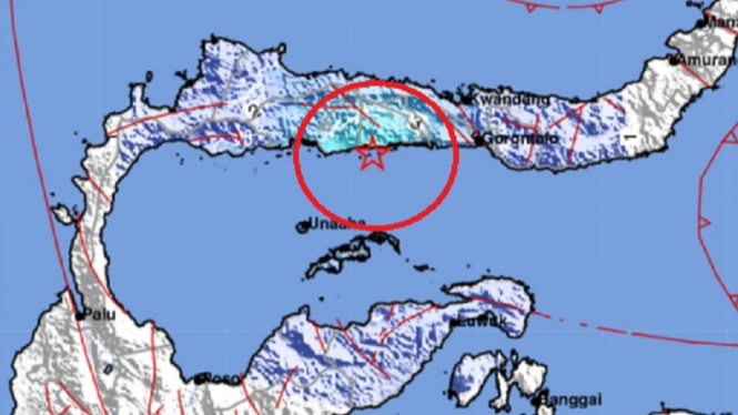 Gempa Bumi Berkekuatan Magnitudo 4,9 Mengguncang Gorontalo