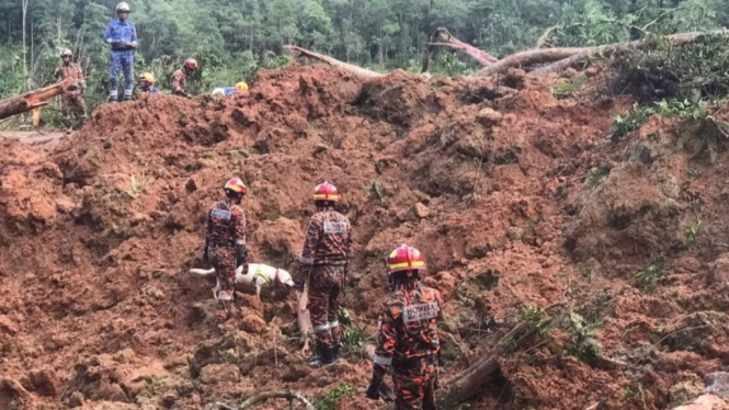 Tim SAR mencari korban tanah longsor di Malaysia.