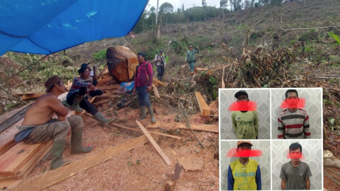 Polisi Tangkap 4 Pelaku Illegal Logging di Kawasan TNKS