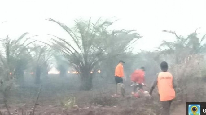 Kebakaran lahan di Kotawaringin Barat, Kalimantan Tengah.