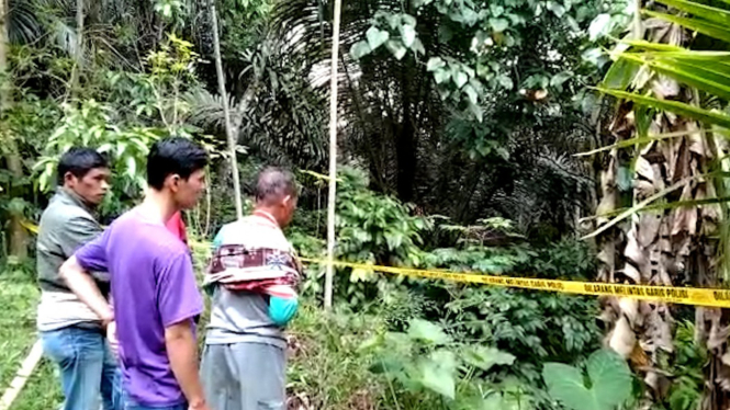 Tragis Bocah 1,2 Tahun Tewas Tergantung di Pohon Cokelat