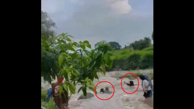 Video Viral Dua Wanita Terseret Arus Sungai Bruno di Lereng Wilis