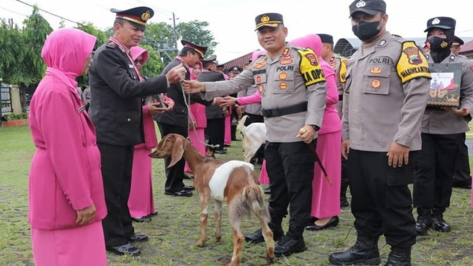 Unik, 15 Anggota Polisi yang Pensiun Dapat Hadiah Kambing