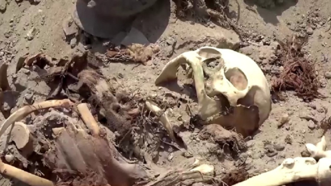 Puluhan makam kuno ditemukan di Peru