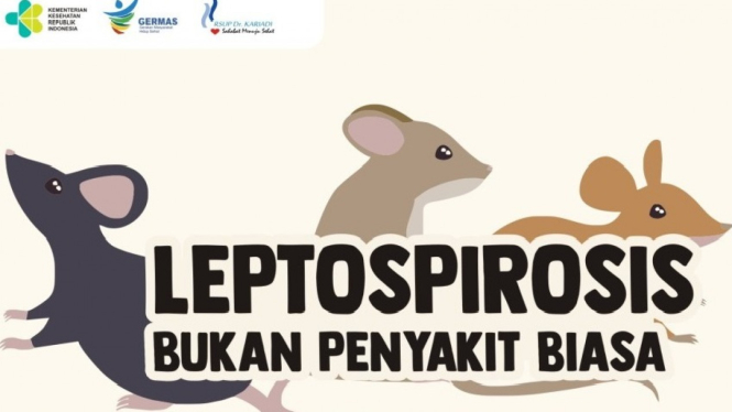 Merebak di 5 Desa, 112 Warga Pacitan Terinfeksi Leptospirosis