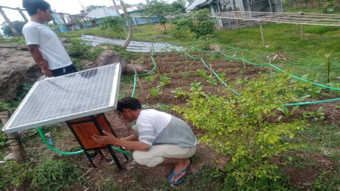 Mahasiswa UTS Ciptakan Smart Farming, Penyiraman Tanaman Otomatis
