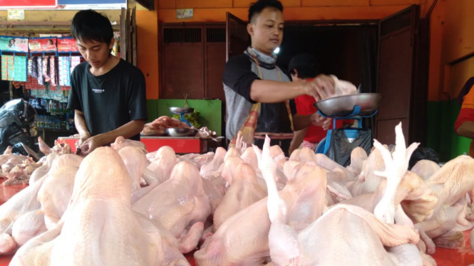 Jelang Ramadan Harga Daging Ayam di Bandar Lampung Melonjak
