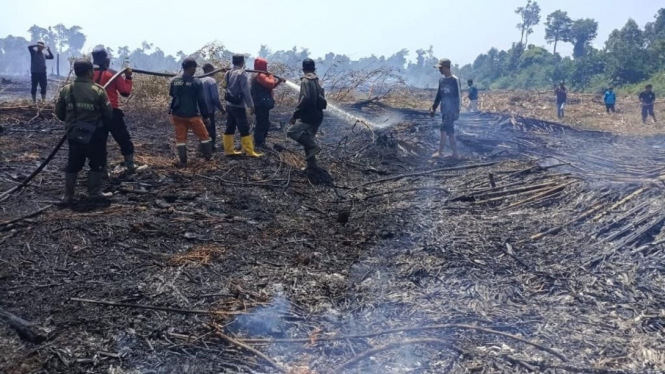Petugas padamkan kebakaran hutan di Bengkalis, Riau.