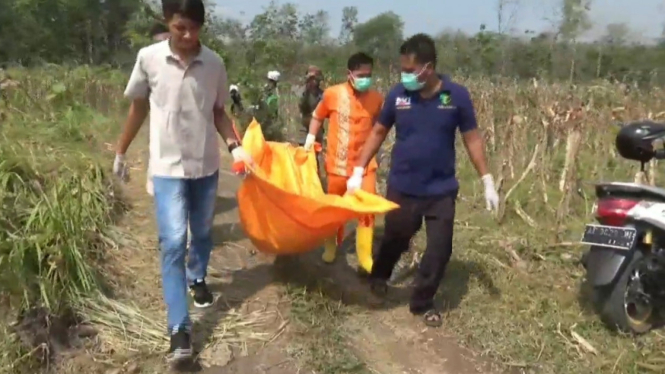 Heboh Penemuan Mayat Perempuan Setengah Telanjang di Ladang Jagung