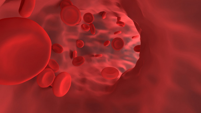Hemoglobin Adalah Protein yang Terdapat dalam Sel Darah Merah