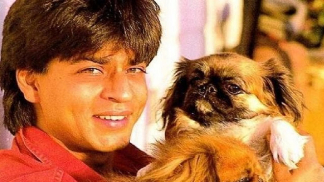 Shah Rukh Khan Rogoh Kocek Rp16 Juta untuk Anjing Peliharaannya