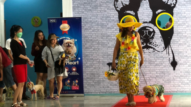 Pawppy Dog Matters Ajak Pencinta Anabul Lomba Fashion Show